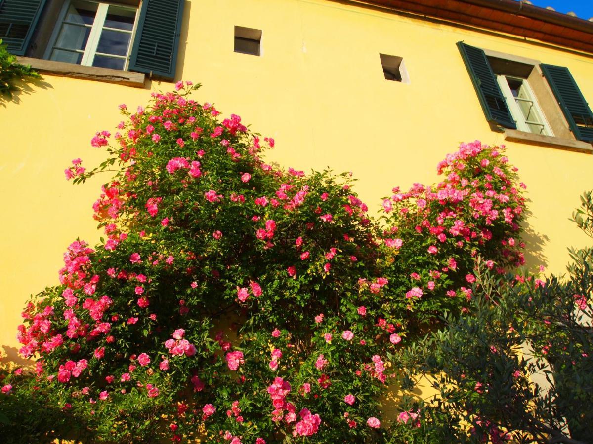 Il Sole Del Sodo Guest House Cortona Bagian luar foto
