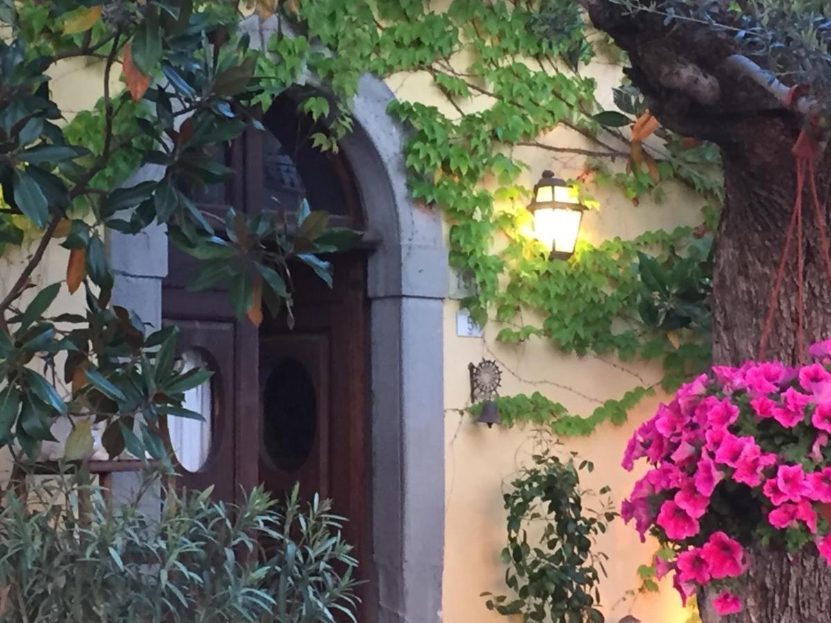 Il Sole Del Sodo Guest House Cortona Bagian luar foto