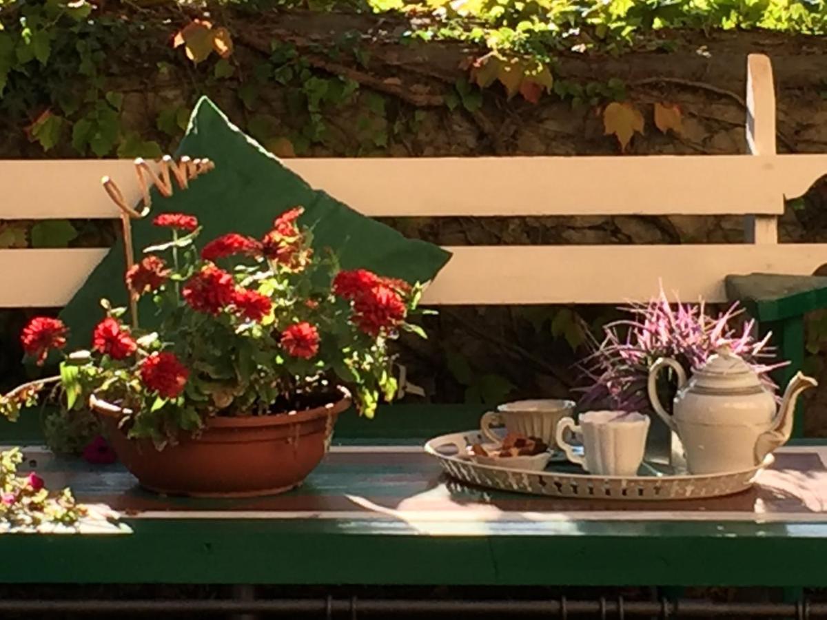 Il Sole Del Sodo Guest House Cortona Bagian luar foto