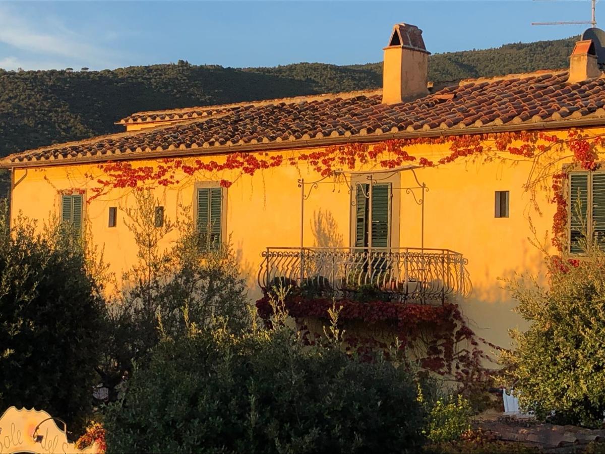 Il Sole Del Sodo Guest House Cortona Bagian luar foto