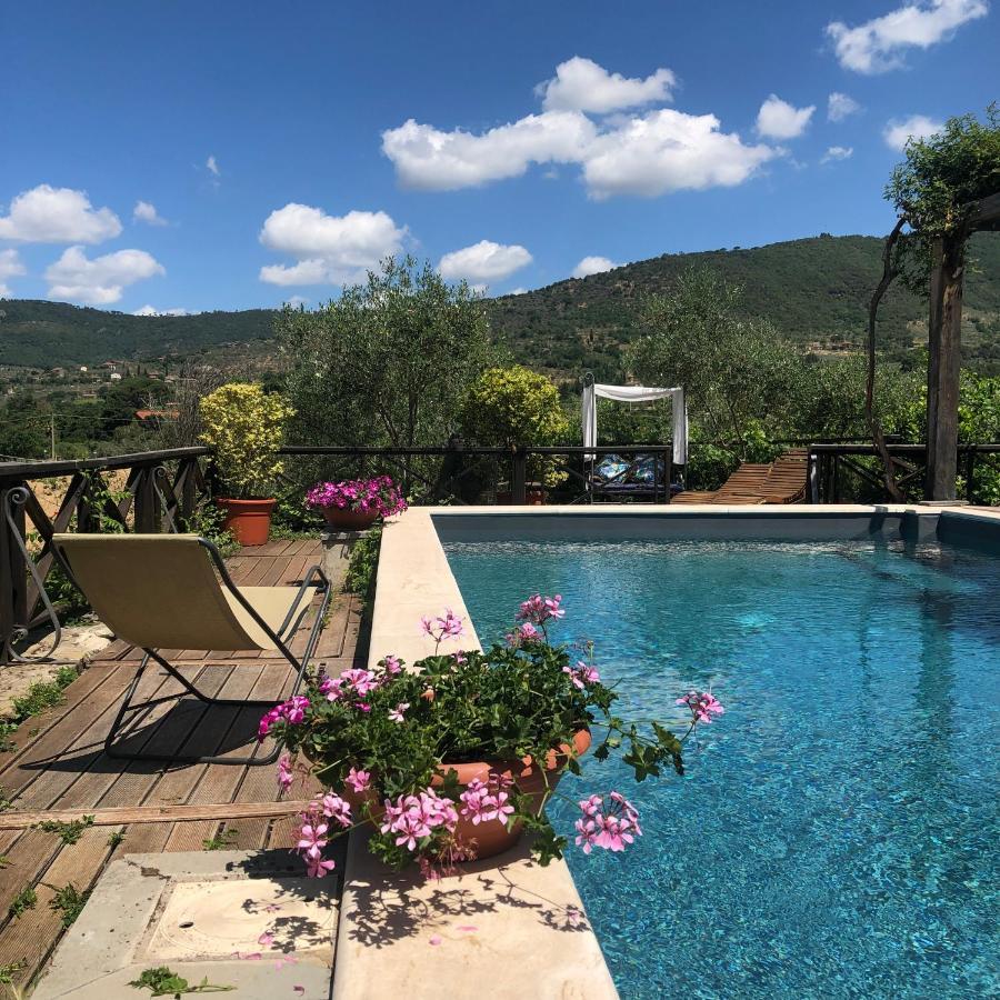 Il Sole Del Sodo Guest House Cortona Bagian luar foto