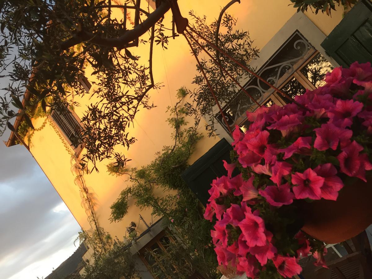 Il Sole Del Sodo Guest House Cortona Bagian luar foto