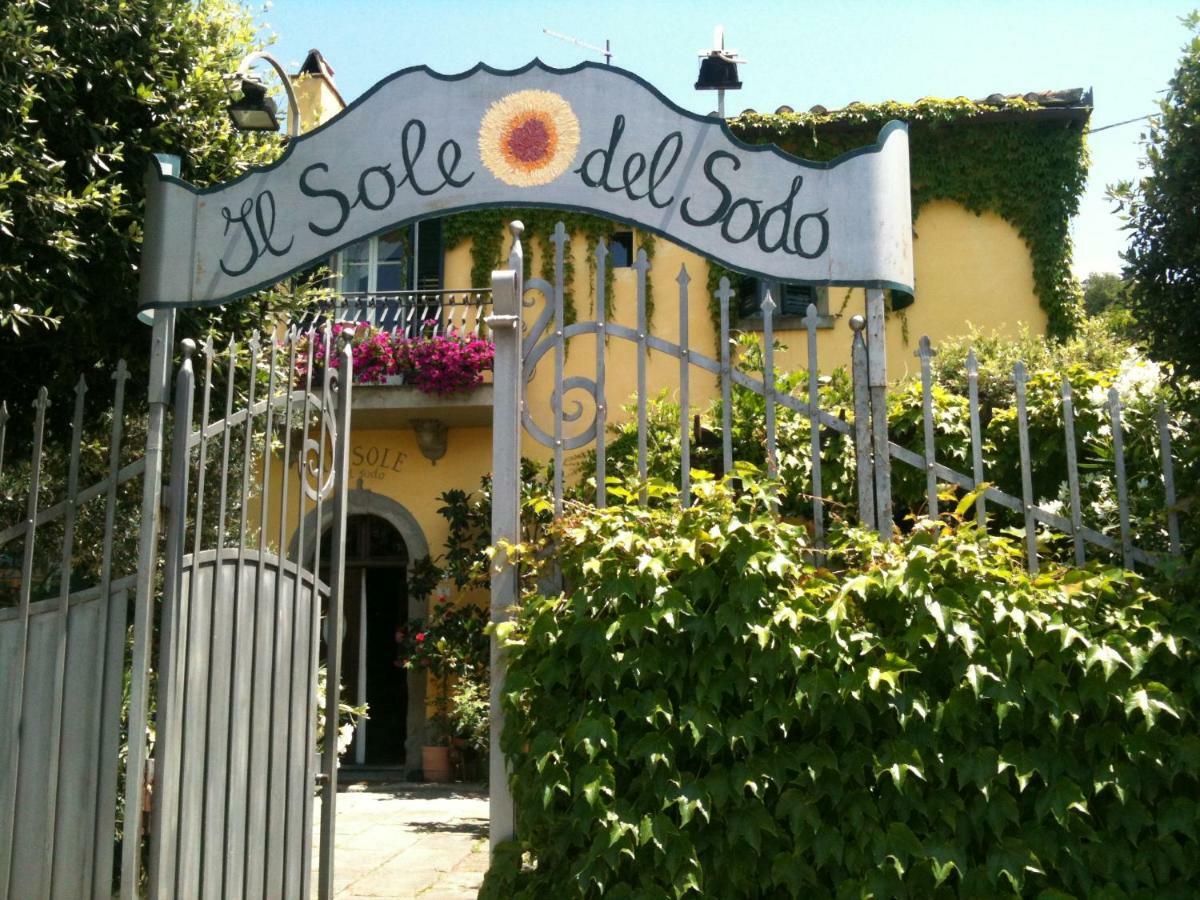 Il Sole Del Sodo Guest House Cortona Bagian luar foto